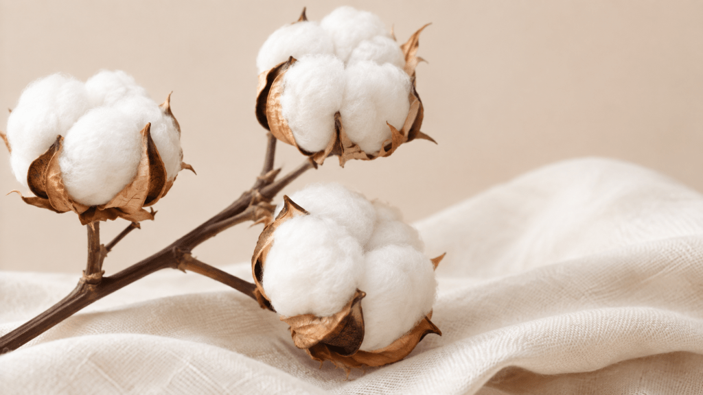 Organic Cotton