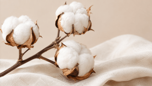Organic Cotton